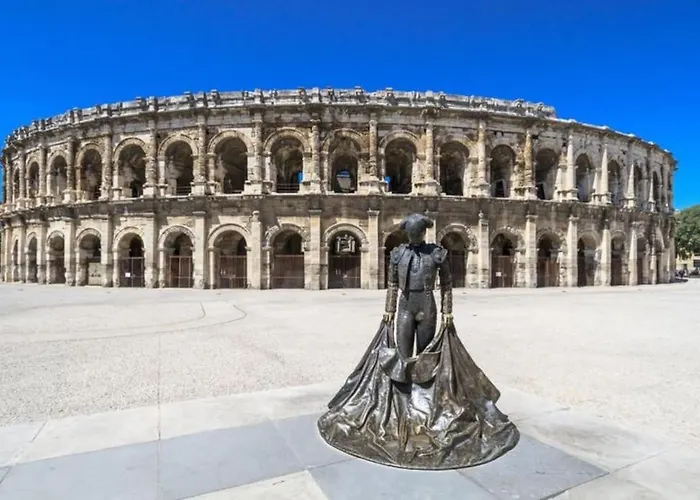 Maison De Charme Proche D'uzes Flaux